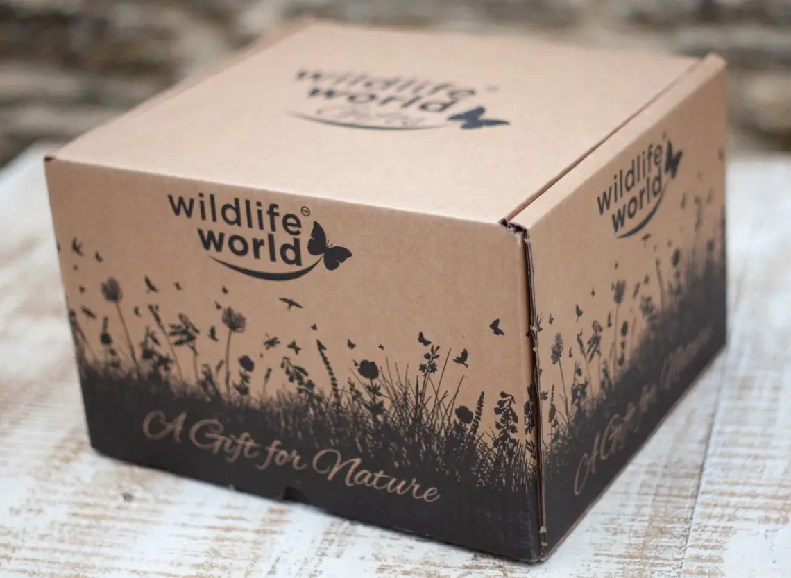 Gift Box by Wildlife World from Peach Perfect