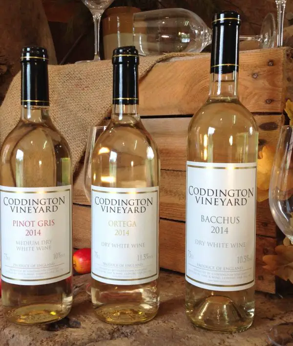 Coddington-Vineyard-Wines