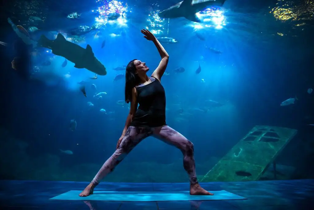 Yoga with Dogfish. National Martime Aquarium Plymouth